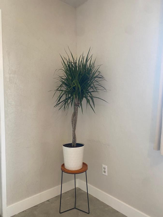 Casa Del Desierto - Panoramic Views - Pet Friendly - Fire Pit Villa Joshua Tree Luaran gambar